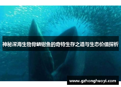 神秘深海生物骨鳞钳鱼的奇特生存之道与生态价值探析